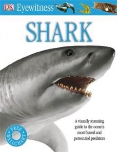 Shark Dr. Miranda Macquitty