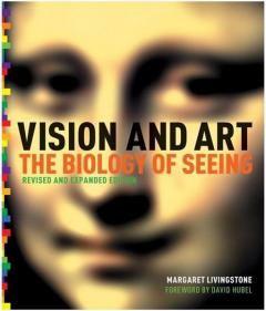 Vision and Art Margaret S. Livingstone