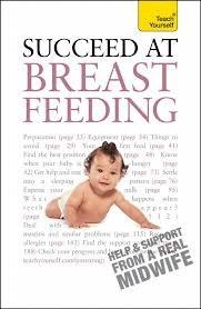 Succeed at Breastfeeding