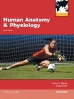 Human Anatomy & Physiology/interactive Physiology 10-system Suite CD-ROM (component)/a Brief Atlas of the Human Body (valuepack Only)