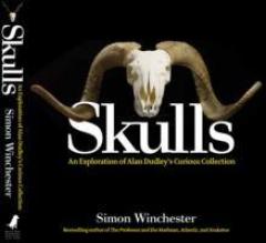Skulls: An Exploration of Alan Dudley's Curious Collection