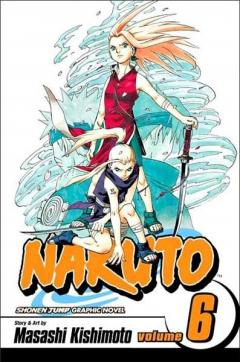 Naruto - Volume 6