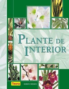 Plante de interior Dorte Nissen