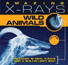 Amazing X-Rays: Wild Animals