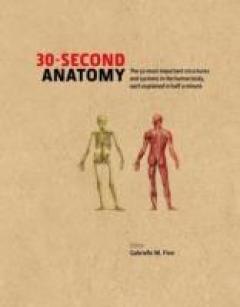 Coperta cărții 30-second Anatomy: The 50 Most Important Structures and Systems in the Human Body, Each Explained in Half a Minute