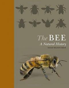 The Bee: A Natural History