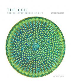 The Cell