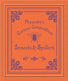  Ponsonby's: Insects & Spiders