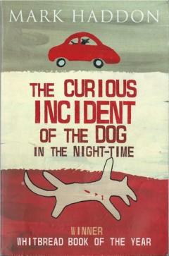 The Curious Incident of the Dog In the Night-time