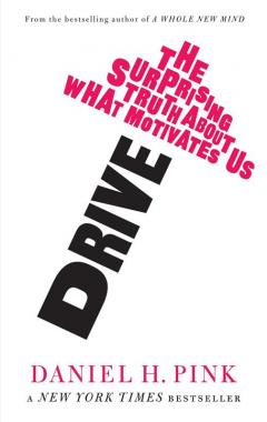 Drive: The Surprising Truth About What Motivates Us