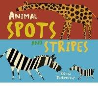 Animal Spots and Stripes 