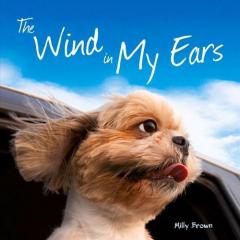 The Wind in My Ears