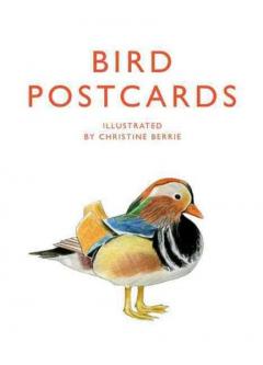 Bird Postcards