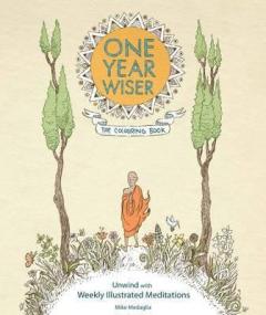 One Year Wiser - The Colouring Book