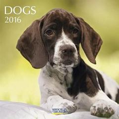 Calendar caini II 2016