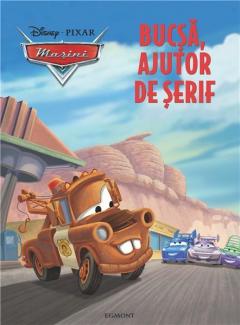 Masini- Bucsa, ajutor de serif