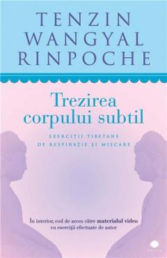 Trezirea corpului subtil Tenzin Wangyal Rinpoche
