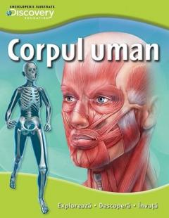 Corpul uman 