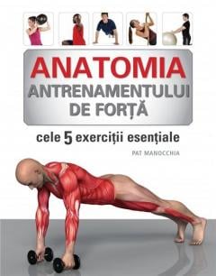 Anatomia antrenamentului de forta Pat Manocchia