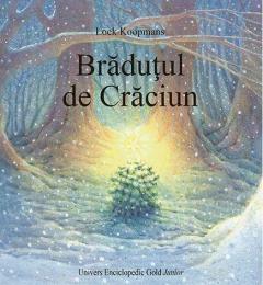 Bradutul de Craciun 