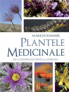 Plante medicinale Markus Sommer