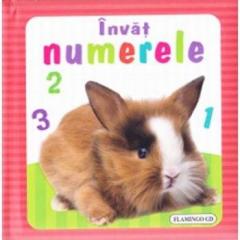 Invat - numerele (buretata) 