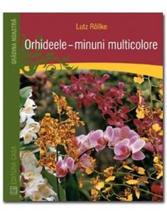 Orhideele - minuni multicolore