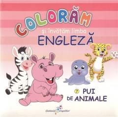 Coloram si invatam limba engleza 7 Roxana Geanta