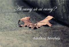 Ai curaj sa ai curaj 