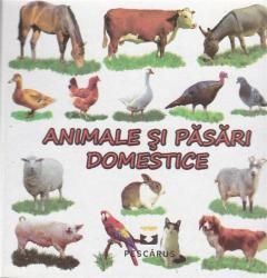 Animale Si Pasari Domestice