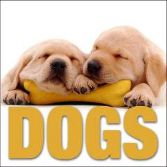 Dogs Enrico Lavagno