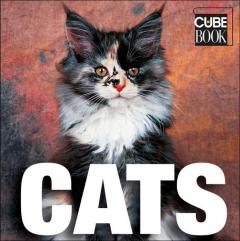 Cats Caterina Gromis Di Trana