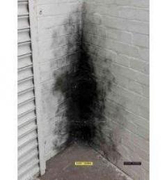 Anish Kapoor: Dirty Corner