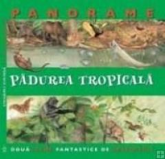 Panorame - Padurea Tropicala