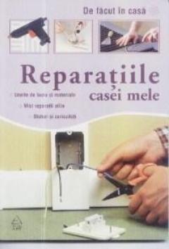 Reparatiile casei mele Raluca Nita