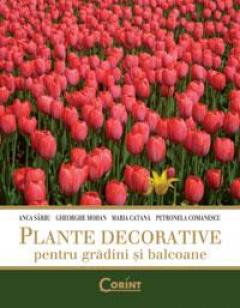 Plante Decorative Pentru Gradini Si Balcoane