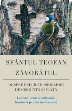 Despre felurite probleme de credinta si viata