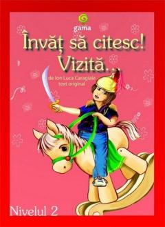 Vizita 