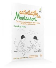 Animale si insecte - Activitatile mele Montessori 