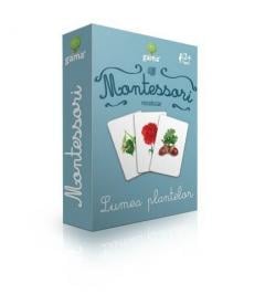 Vocabular. Lumea plantelor 