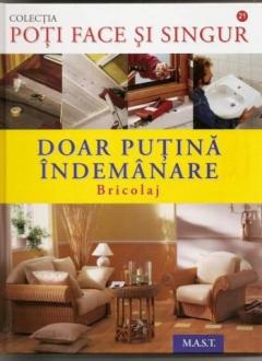 Doar putina indemanare. Bricolaj Dietrich Engelhard