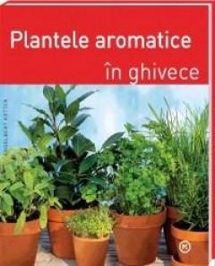 Plantele Aromatice - In Ghivece