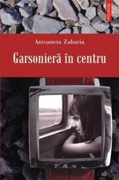 Garsoniera In Centru