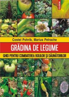 Gradina de legume