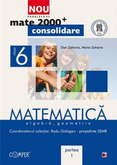 Matematica. Algebra, geometrie. Clasa a VI-a. Partea I