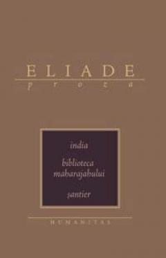India. Biblioteca maharajahului. Santier
