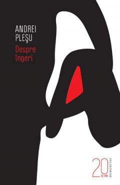 Despre ingeri