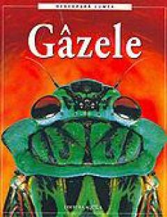 Gazele Rosie Dickins