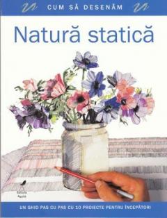 Cum sa desenam natura statica