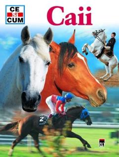 Ce si Cum - Caii